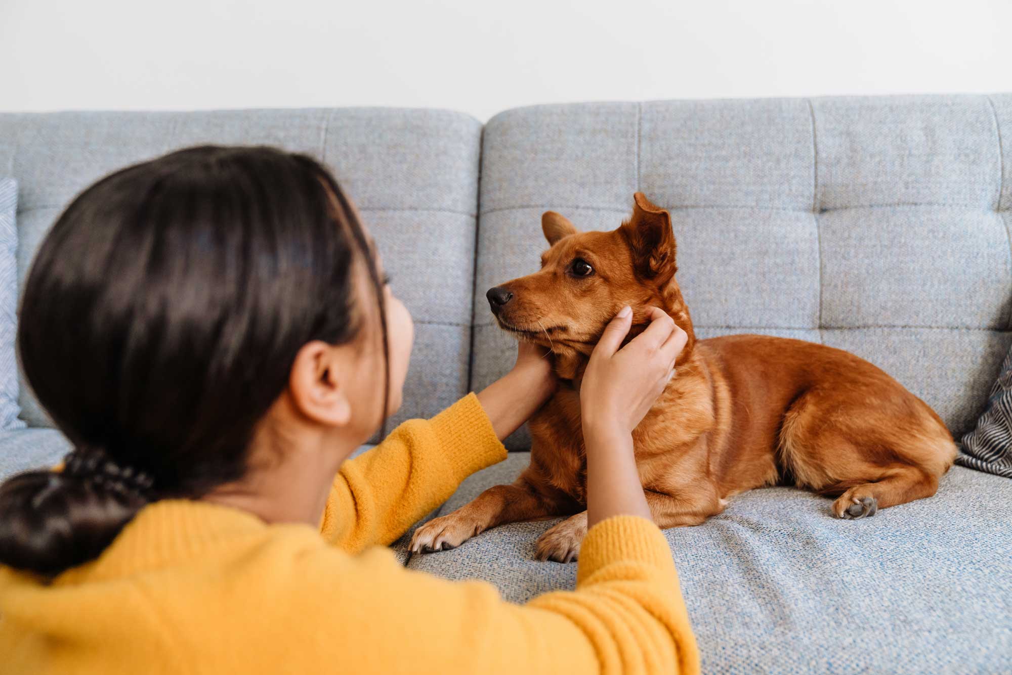 A woman tenderly playing with her dog — a moment of pure love and connection