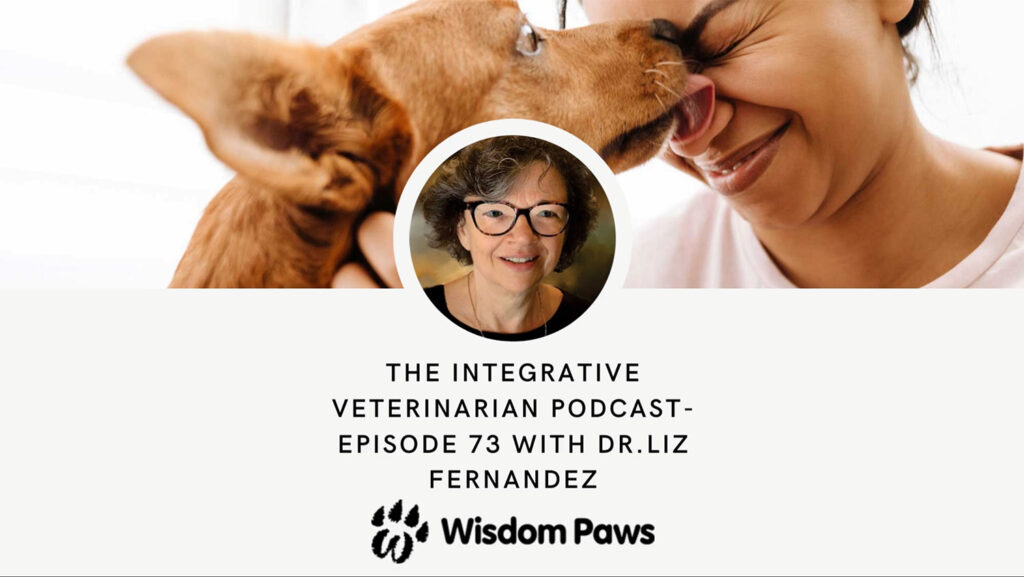 Integrative Veterinarian Podcast With Dr. Liz Fernandez – Episode 73